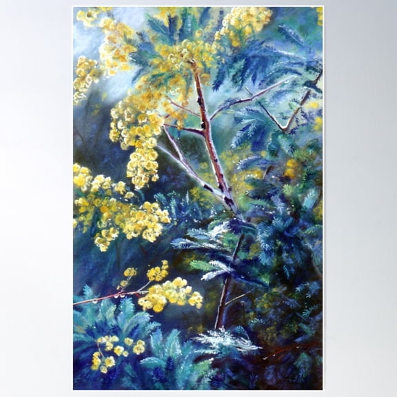 Cootamundra Wattle Poster Wall Art, Modern Wall Decor For Living Room Bedroom, 16x24 UNFRAMED