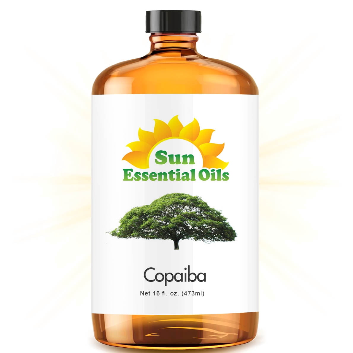 Copaiba Essential Oil (Huge 16oz Bottle) Bulk Copaiba Oil 16 Ounce