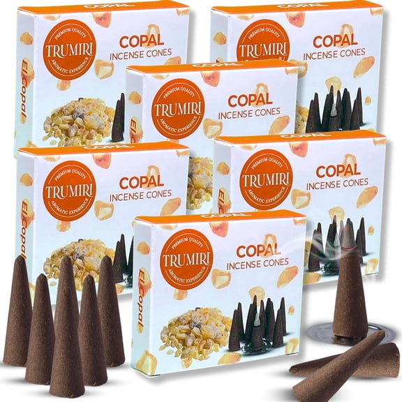 Copal Incense Cones - 60 Pack (10 Cones Each) - Scented Incense