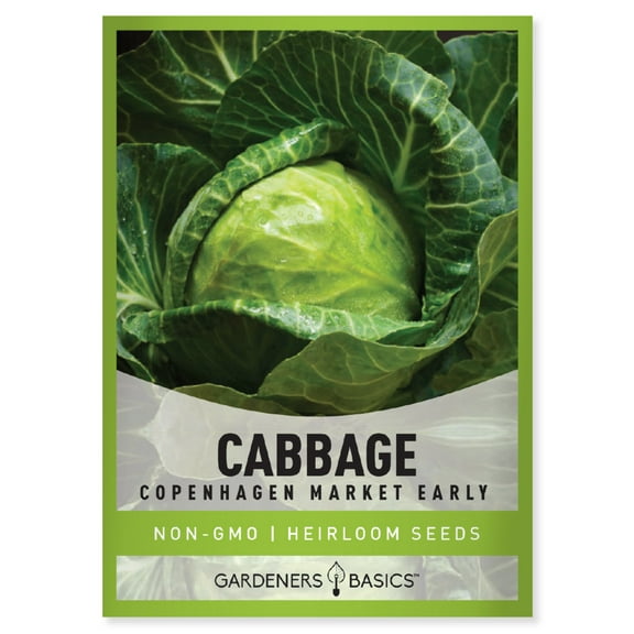 Copenhagen Market Early Cabbage Seeds
