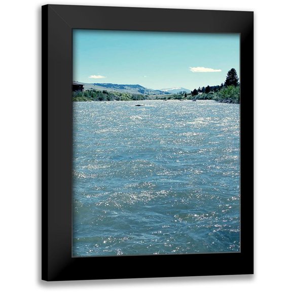 Coppel, Anna 12x14 Black Modern Framed Museum Art Print Titled - Natures Beauty