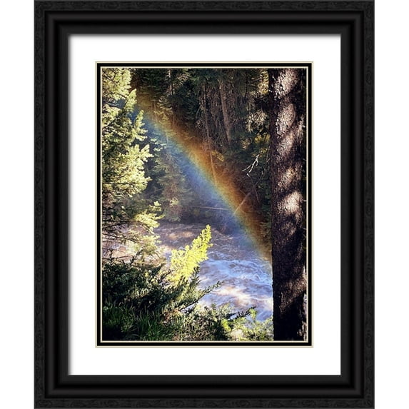 Coppel, Anna 12x14 Black Ornate Wood Framed with Double Matting Museum Art Print Titled - Stream and Rainbow Collide
