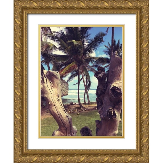 Coppel, Anna 12x14 Gold Ornate Wood Framed with Double Matting Museum Art Print Titled - Oceanside Palms