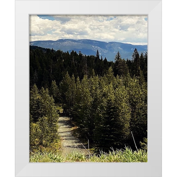 Coppel, Anna 12x14 White Modern Wood Framed Museum Art Print Titled - Mountain Stream