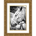 thumbnail image 1 of Coppel, Anna 13x18 Gold Ornate Wood Framed with Double Matting Museum Art Print Titled - Before the Ride I, 1 of 4