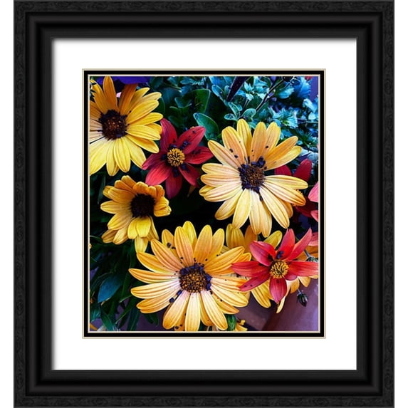 Coppel, Anna 15x16 Black Ornate Wood Framed with Double Matting Museum Art Print Titled - Colorful Bunch