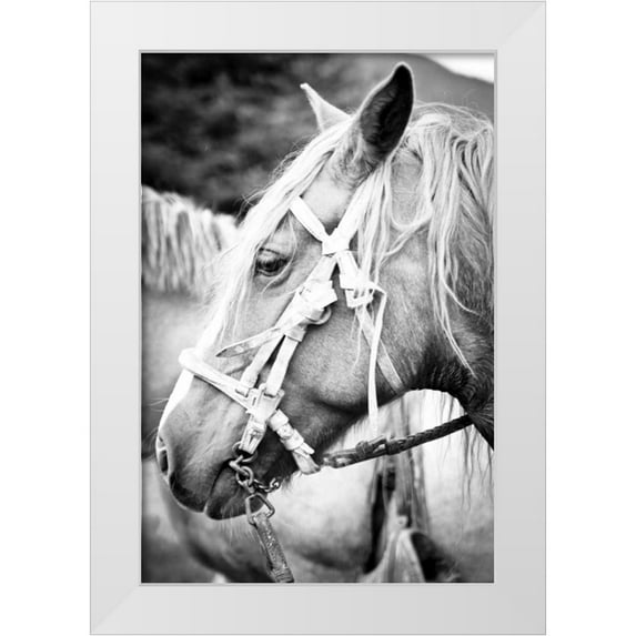 Coppel, Anna 23x32 White Modern Wood Framed Museum Art Print Titled - Before the Ride I