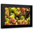 thumbnail image 1 of Coppel, Anna 24x17 Black Modern Framed Museum Art Print Titled - Down Under Flowers, 1 of 5