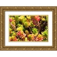 thumbnail image 1 of Coppel, Anna 24x17 Gold Ornate Wood Framed with Double Matting Museum Art Print Titled - Down Under Flowers, 1 of 4