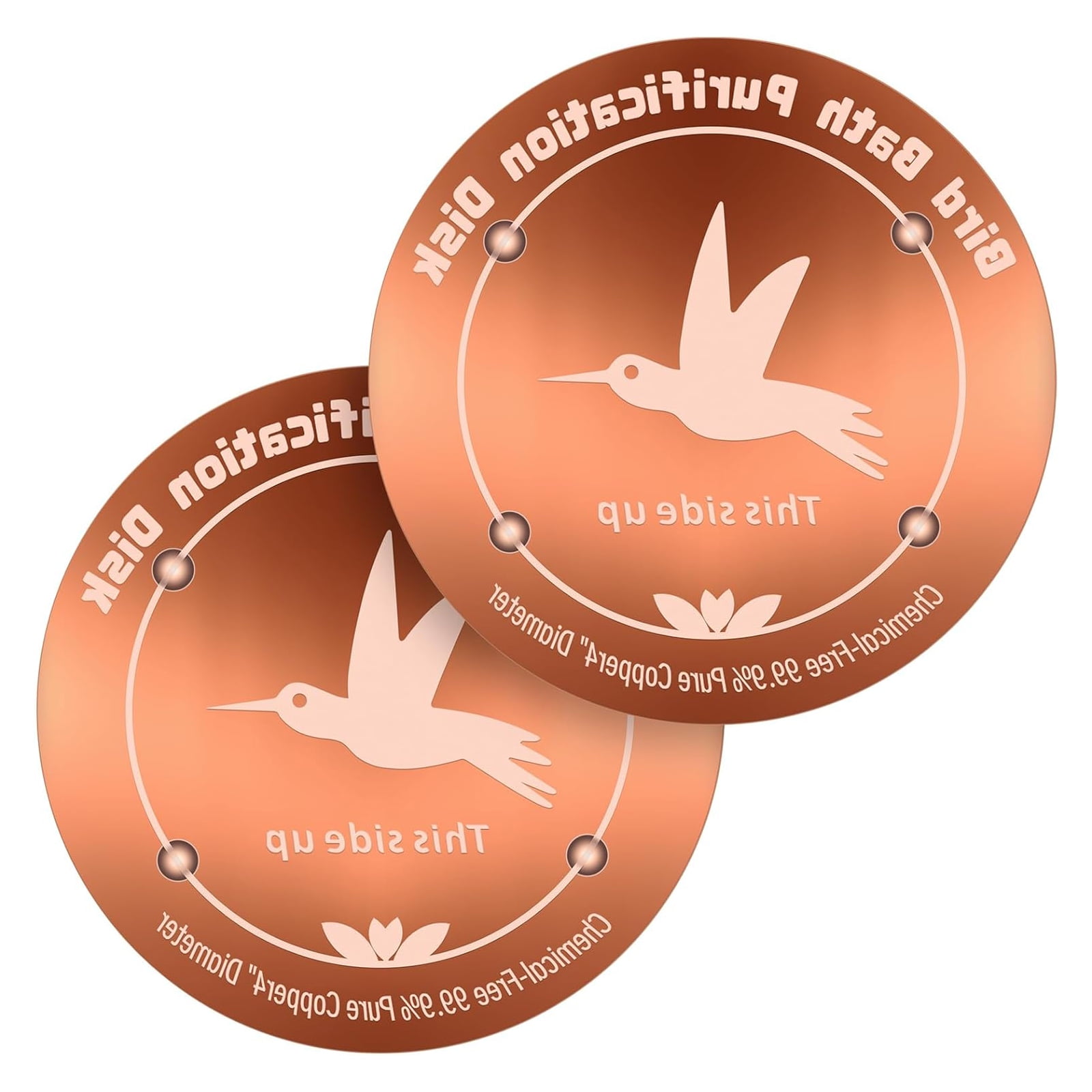 Copper All Season Bird Bath Purification Plate Enhances Garden Aesthetics While Inhibiting Algae