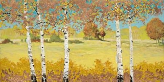 Copper Birch Canvas Art - Arnie Fisk (24 x 48)