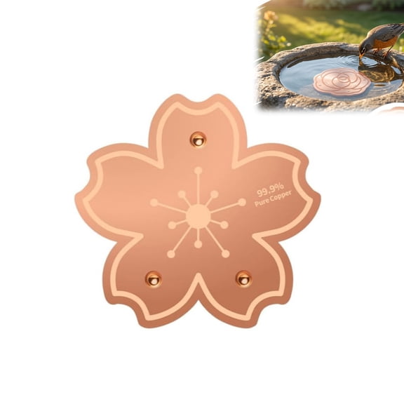 Copper Bird Bath Cleaner Discs 99.99% Pure Copper 4 Inch Water Purification Plates for Birdbath Fountain Pond Algae Control Outdoor Water Care Disk (B, 1PC)