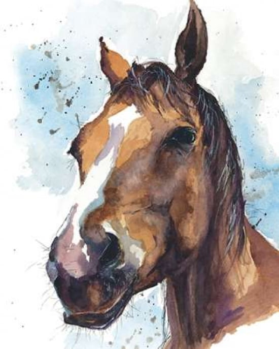 Copper Blaze Canvas Art - Sarah Stokes (24 x 30)