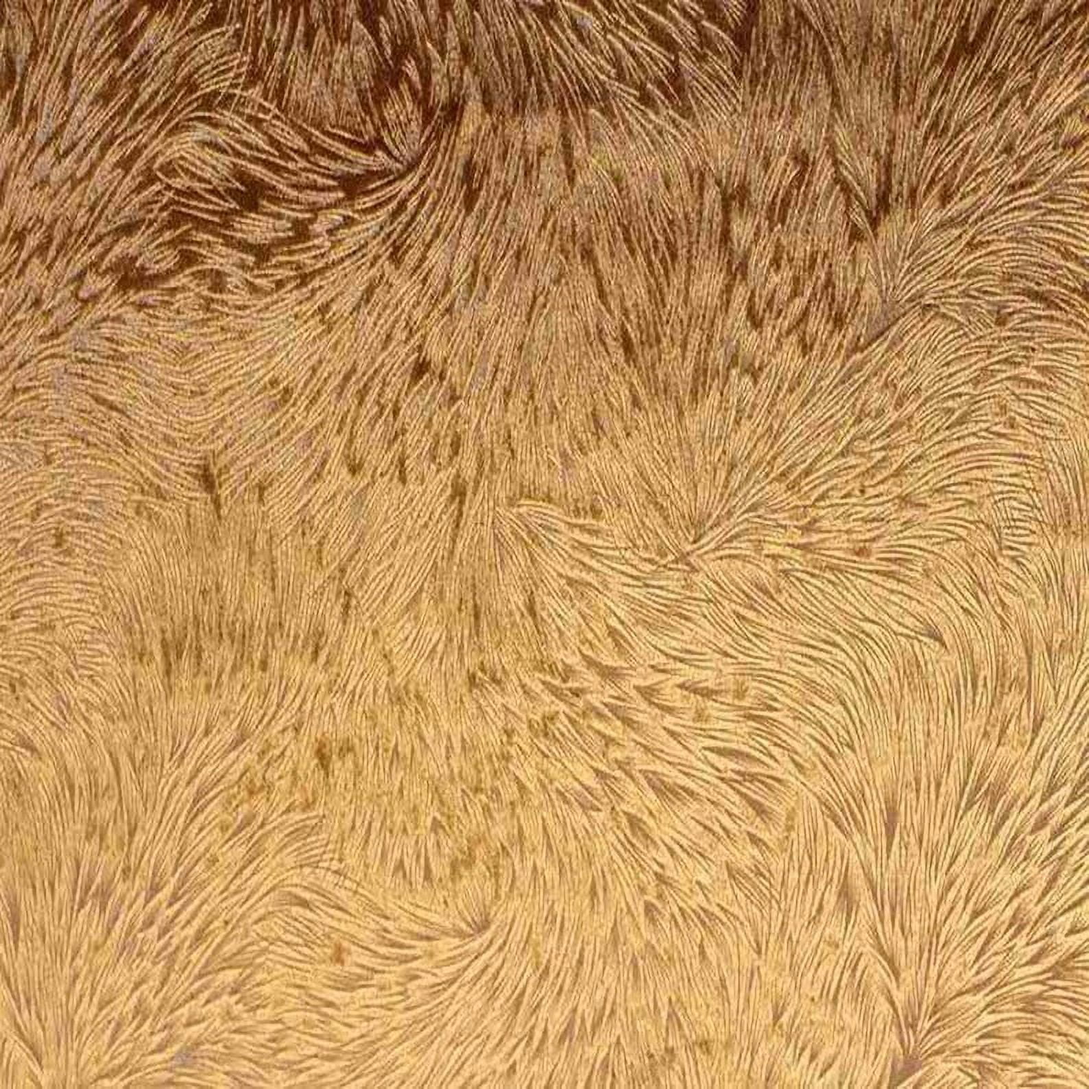 Copper Brocade Huntsville Velvet Fabric Cut by The Yard, 72 Inch. in