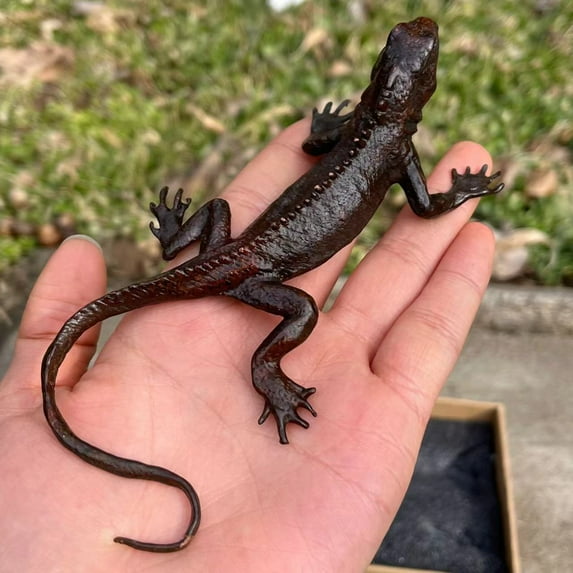 Copper Carving Lizard Sculpture Statue,Collect Lifelike Soft Salamander Statue,Collectible Home Animal Tea pets,Copper Art Animal Decoration