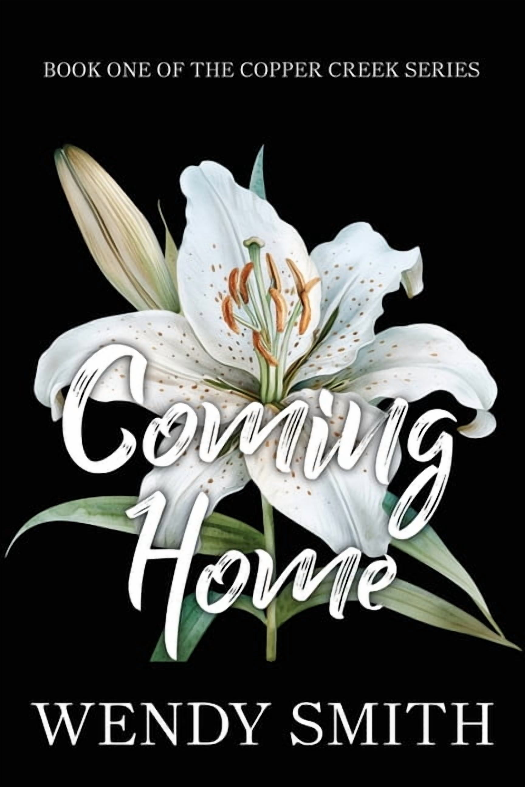 Copper Creek Coming Home: Alternate cover edition, Book 1, (Paperback)