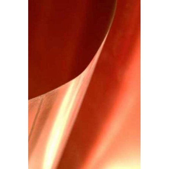 Copper Curves II Canvas Art - Karyn Millet (12 x 18)