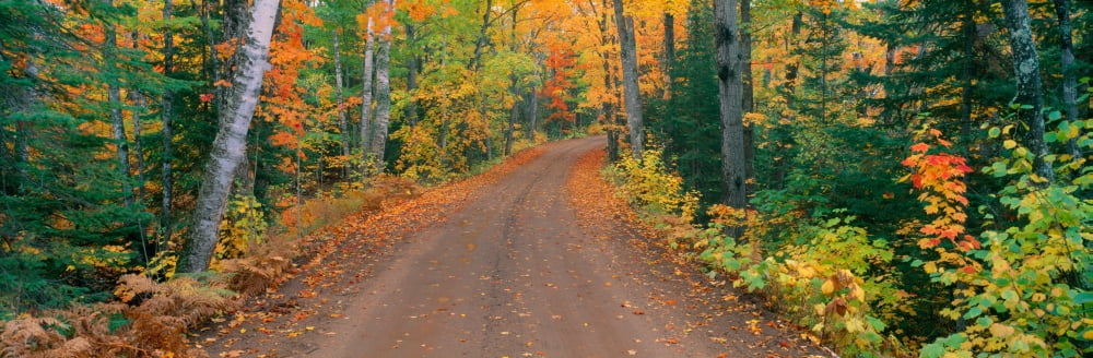 Copper Harbor Autumn Keweenaw Peninsula Michigan Canvas Art - Panoramic Images (36 x 12)