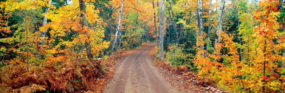 Copper Harbor Keweenaw Peninsula Autumn Michigan Canvas Art - Panoramic Images (27 x 9)