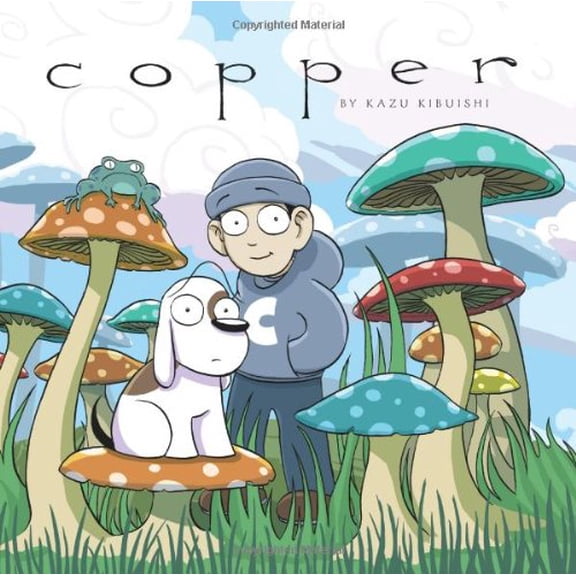 Pre-Owned Copper (Hardcover) 0545098920 9780545098922