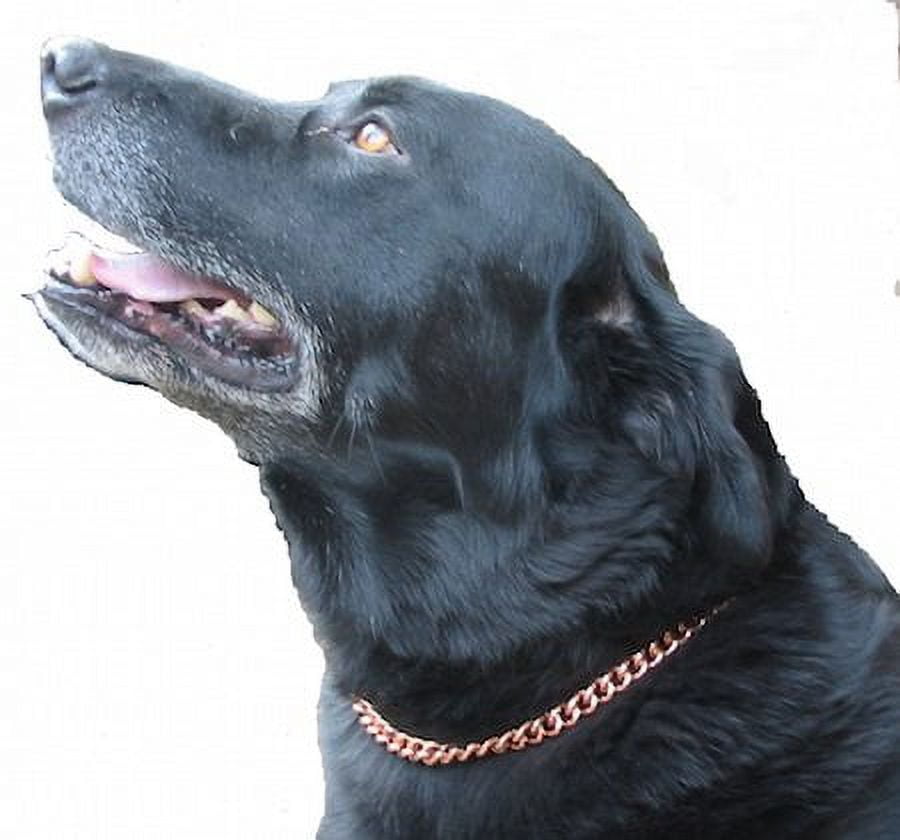 Copper Magnetic Therapy Dog Collars Made to measure in Solid Copper with Magnets (14 inches)