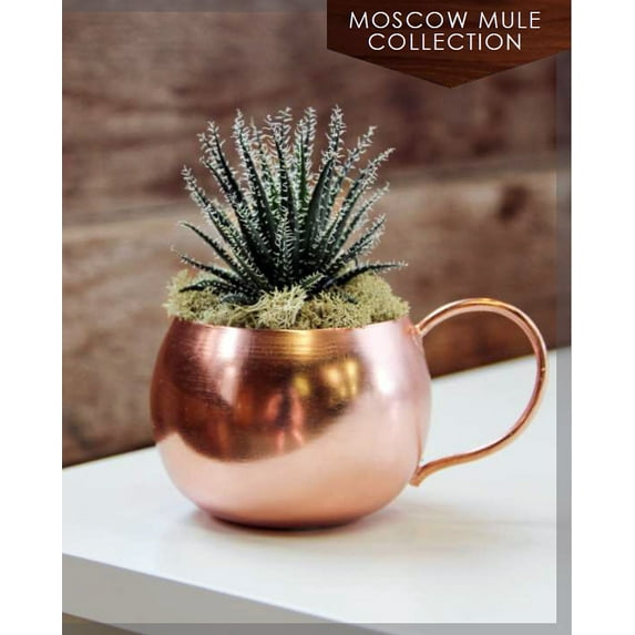 Copper Moscow Mule Planter with Live Plant - 6 x 3.5 x 5.5" - Live Trends