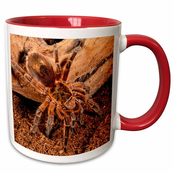 3drose, Copper Pink Burst Tarantula Spider - Na02 Dno0778 - David Northcott, 15oz Two-tone Red Mug
