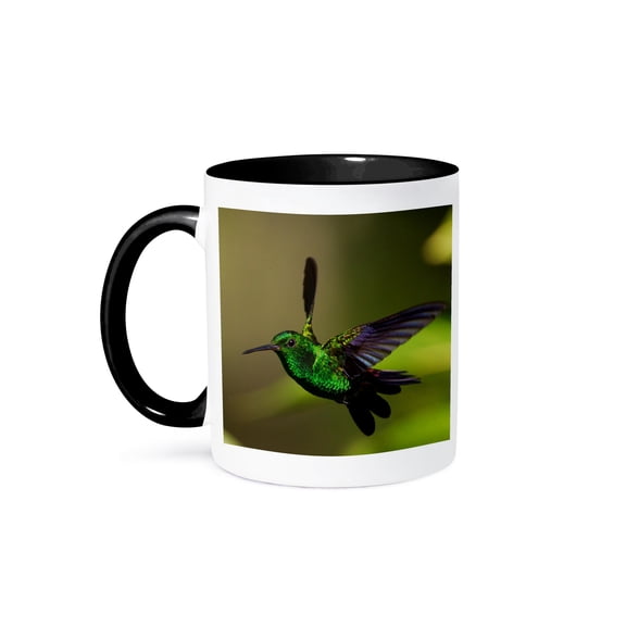 3dRose, Copper rumped Hummingbird flying., 11oz Two-Tone Black Mug