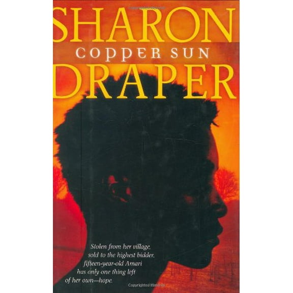 Pre-Owned Copper Sun (Hardcover) 0689821816 9780689821813