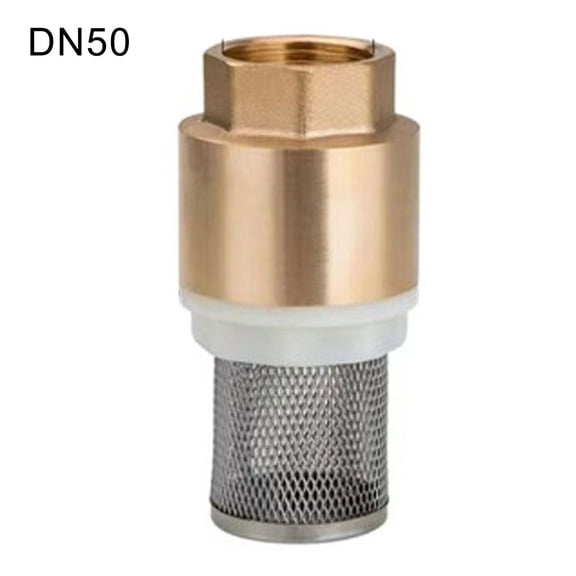 Copper Water Pump Inlet Pipe Filter Thread Filter Vertical Check Valve Dn50
