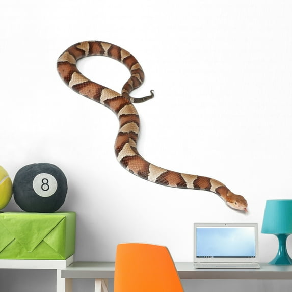 Copperhead Snake or Highland Wall Decal by Wallmonkeys Peel and Stick Graphic (36 in W x 33 in H) WM29435