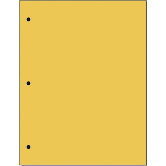 Copy And Printing Color Paper, 20 Lb. 3 Hole Punch 500 Sheets Per Ream. (Gold)