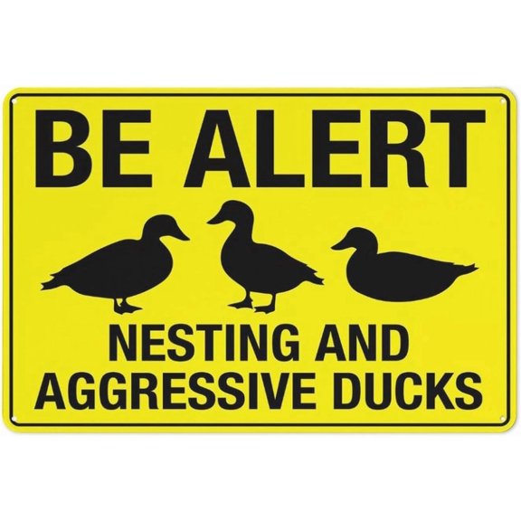 Copy Of Be Alert Nesting And Aggressive Ducks Bright Yellow Sign 8"x12" Aluminum Uv Ink Printed For House And Business