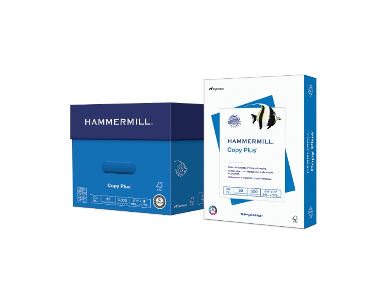 Copy Paper, 10 Reams, White, Letter (8.5" x 11"), 5000 Sheets Per Case