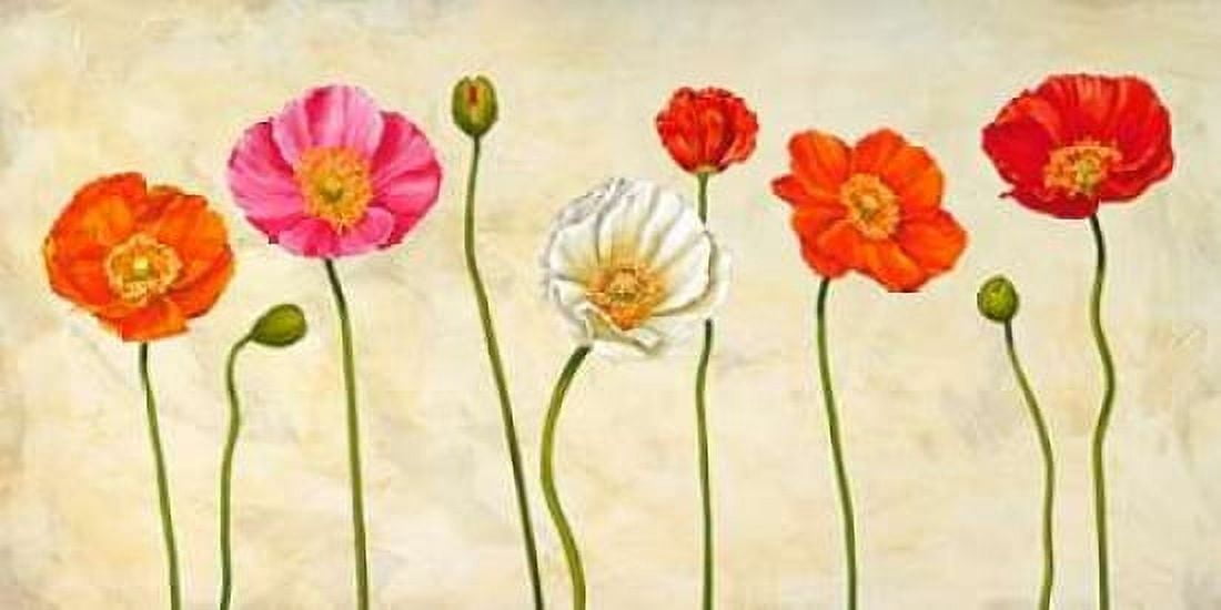 Coquelicots Canvas Art - Cynthia Ann (10 x 20)
