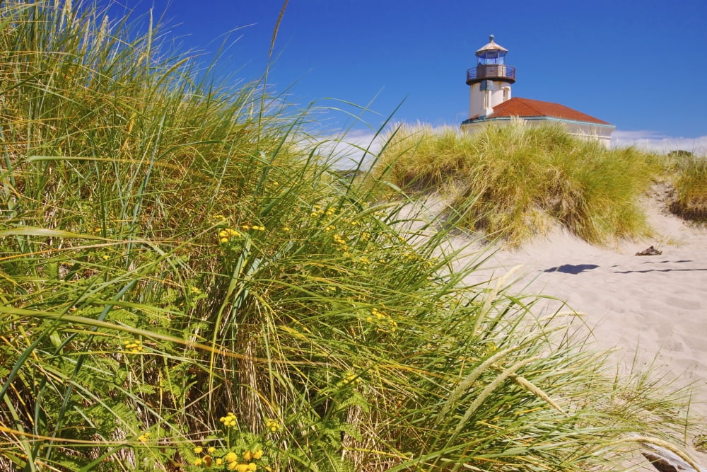 Coquille River Lighthouse Bandon Oregon United States of America Canvas Art - Craig Tuttle Design Pics (19 x 12)