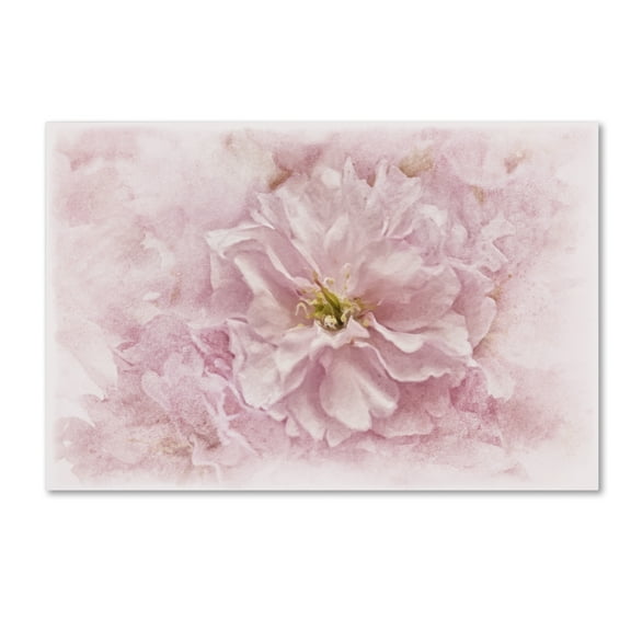Cora Niele 'Cherry Blossom' Canvas Art