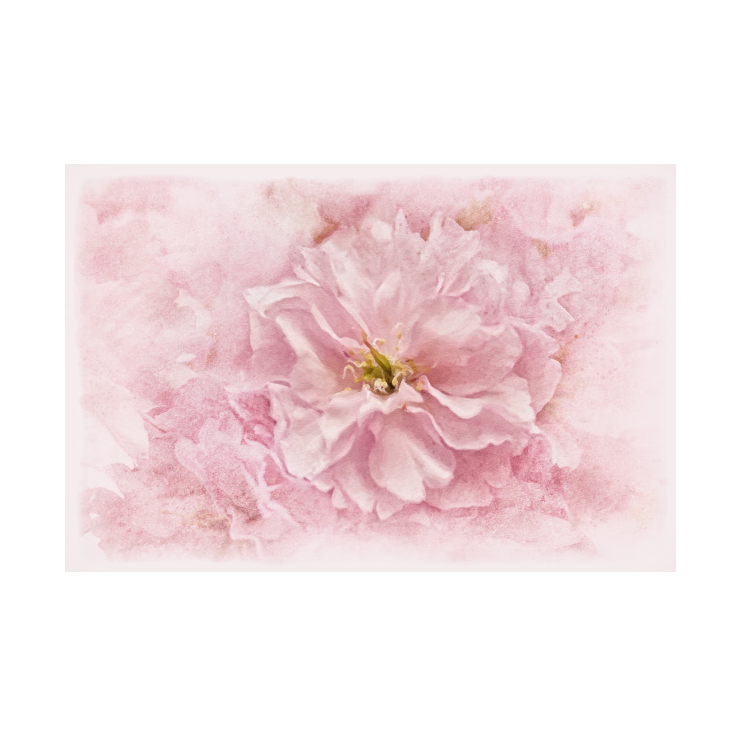 Cherry Blossom Pink Floral Canvas Print Art 16" x 24"