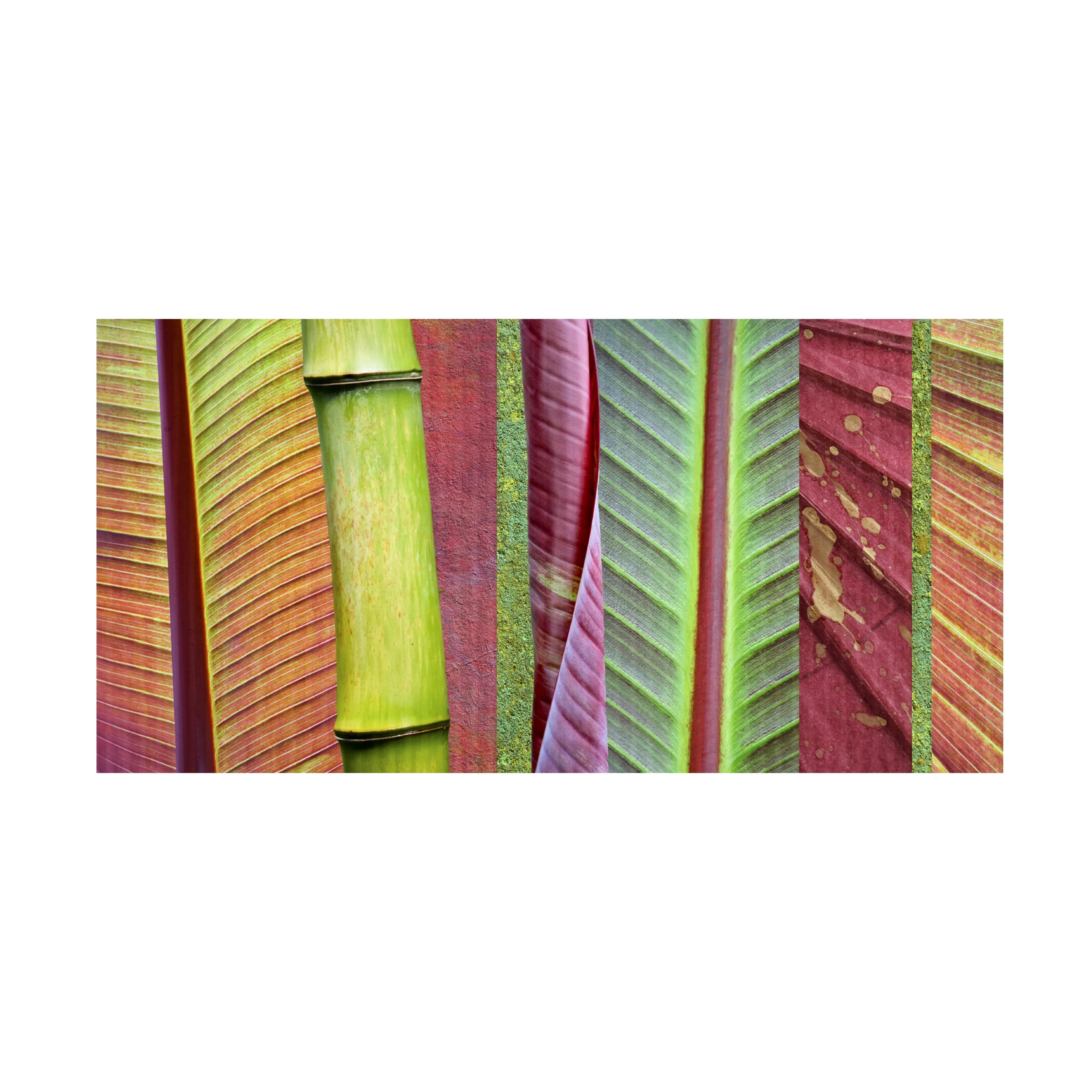 Green and Red Bamboo Leaf Collage Canvas Art Print