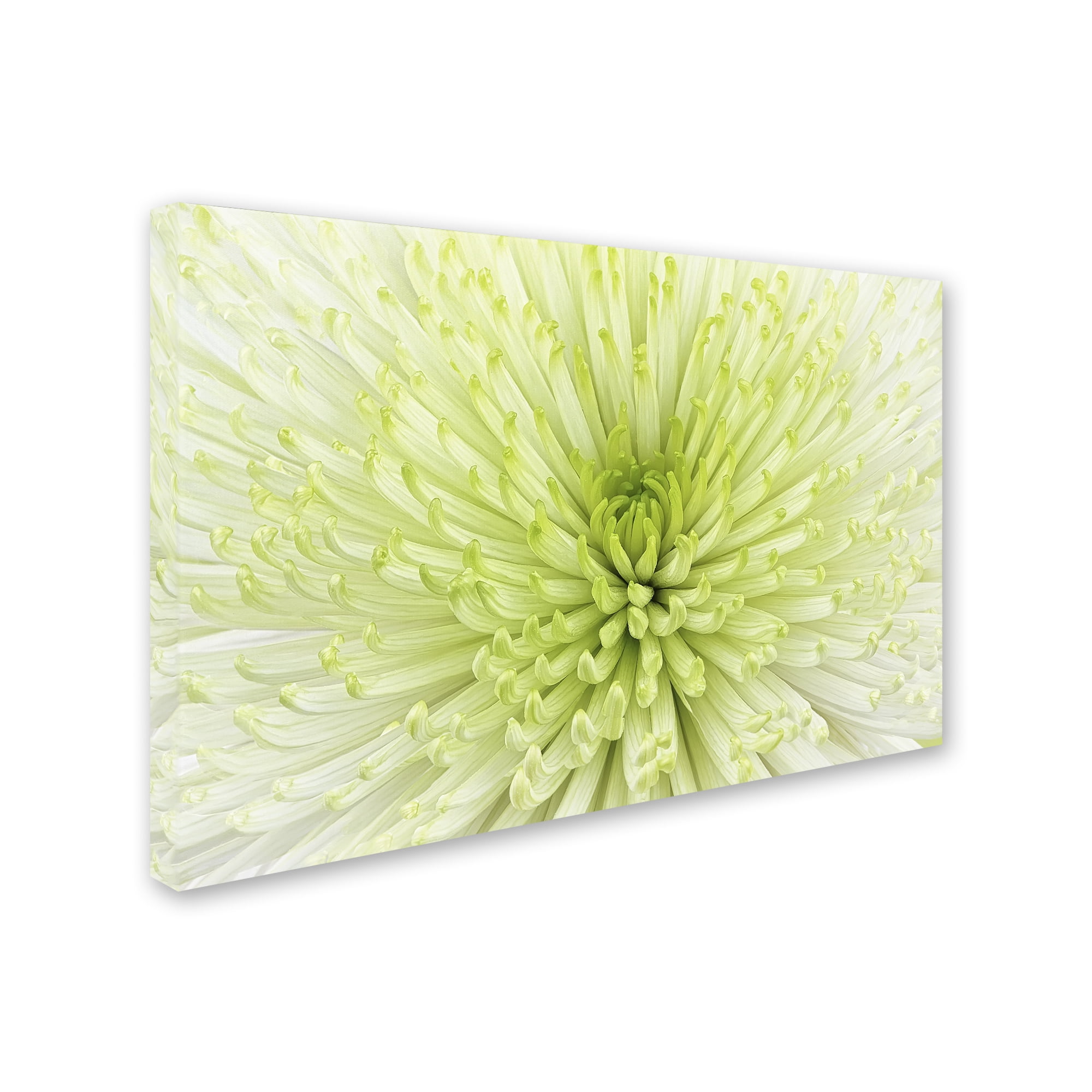 Large White and Green Floral Canvas Art