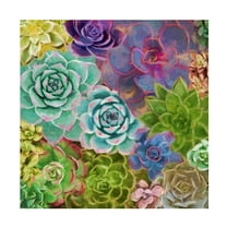 Cora Niele 'Little Succulent Garden' Canvas Art