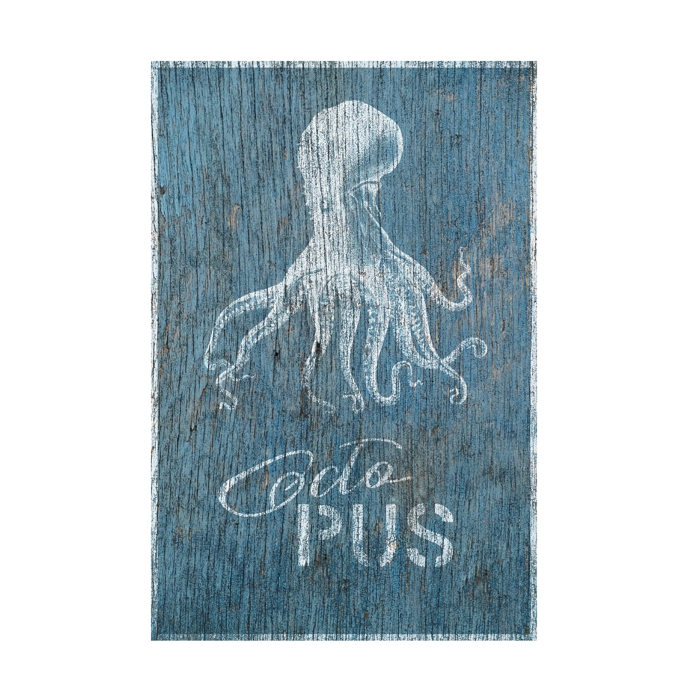 Cora Niele 'Octopus on Blue Wood' Canvas Art
