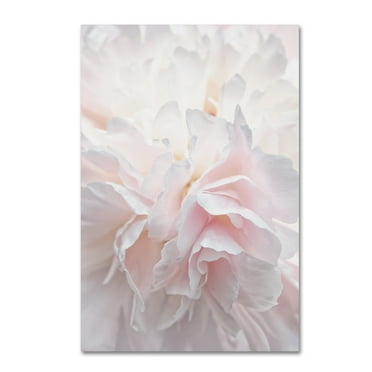 Cora Niele 'Pink Peony Petals IV' Canvas Art