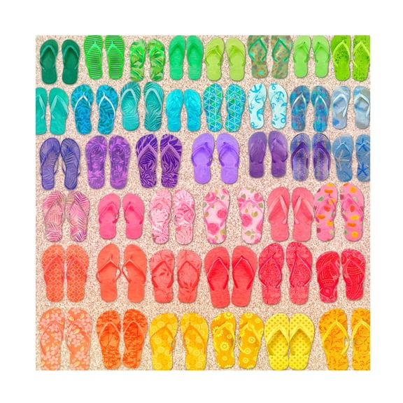 Cora Niele 'Rainbow Flipflops' Canvas Art