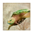 thumbnail image 1 of Cora Niele 'Sea Turtle Pacific' Canvas Art, 1 of 3
