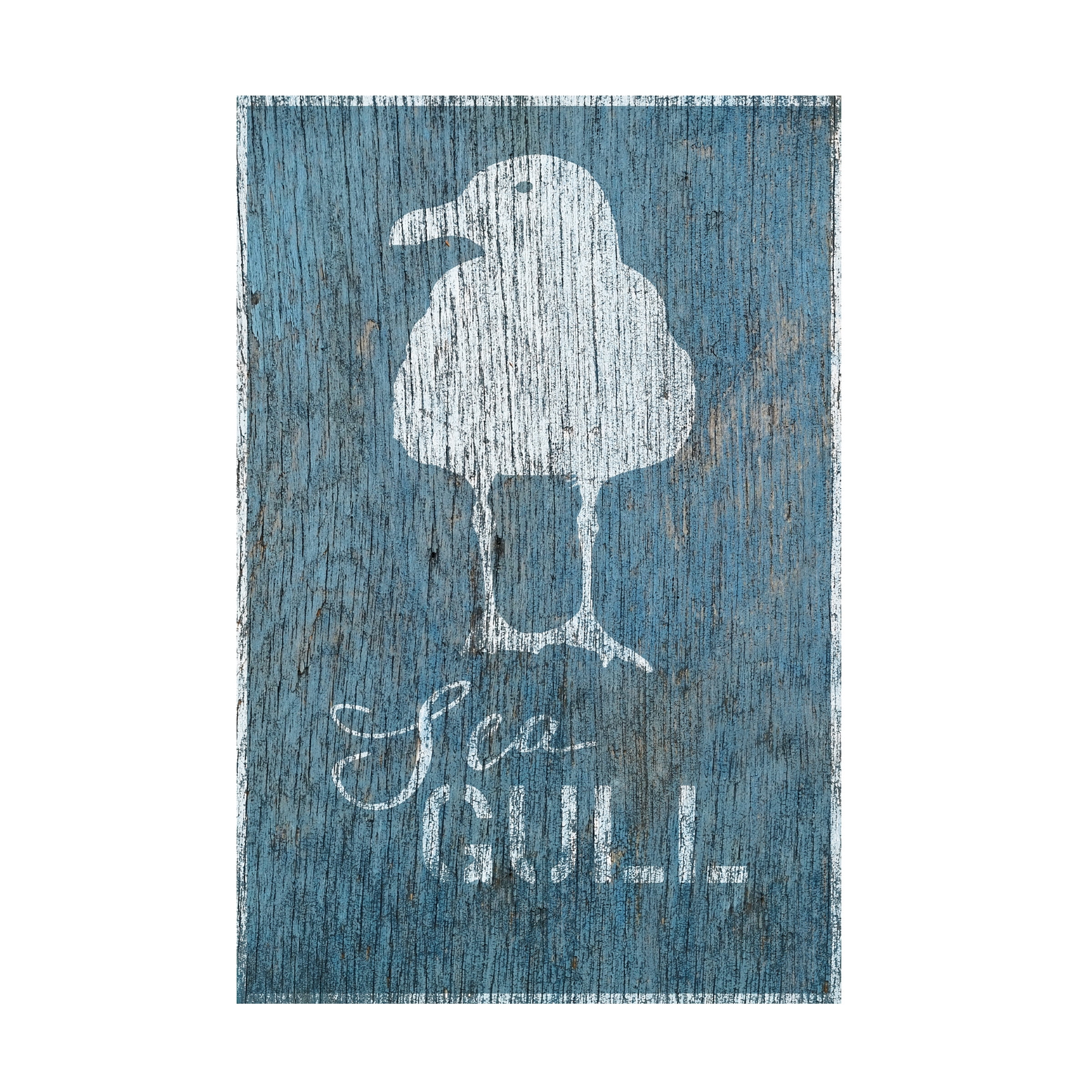 Cora Niele 'Seagull on Blue Wood' Canvas Art