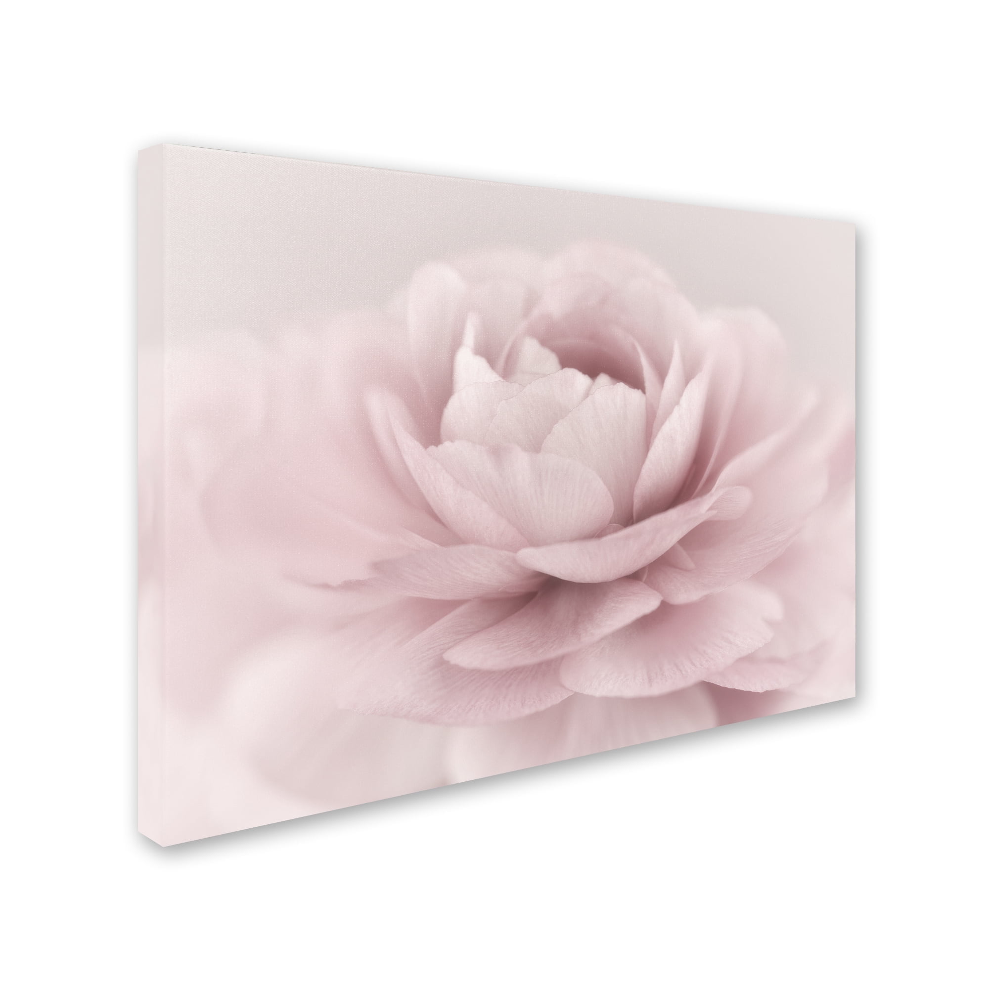 Soft Pink Rose Floral Framed Canvas Art 24'' x 32''