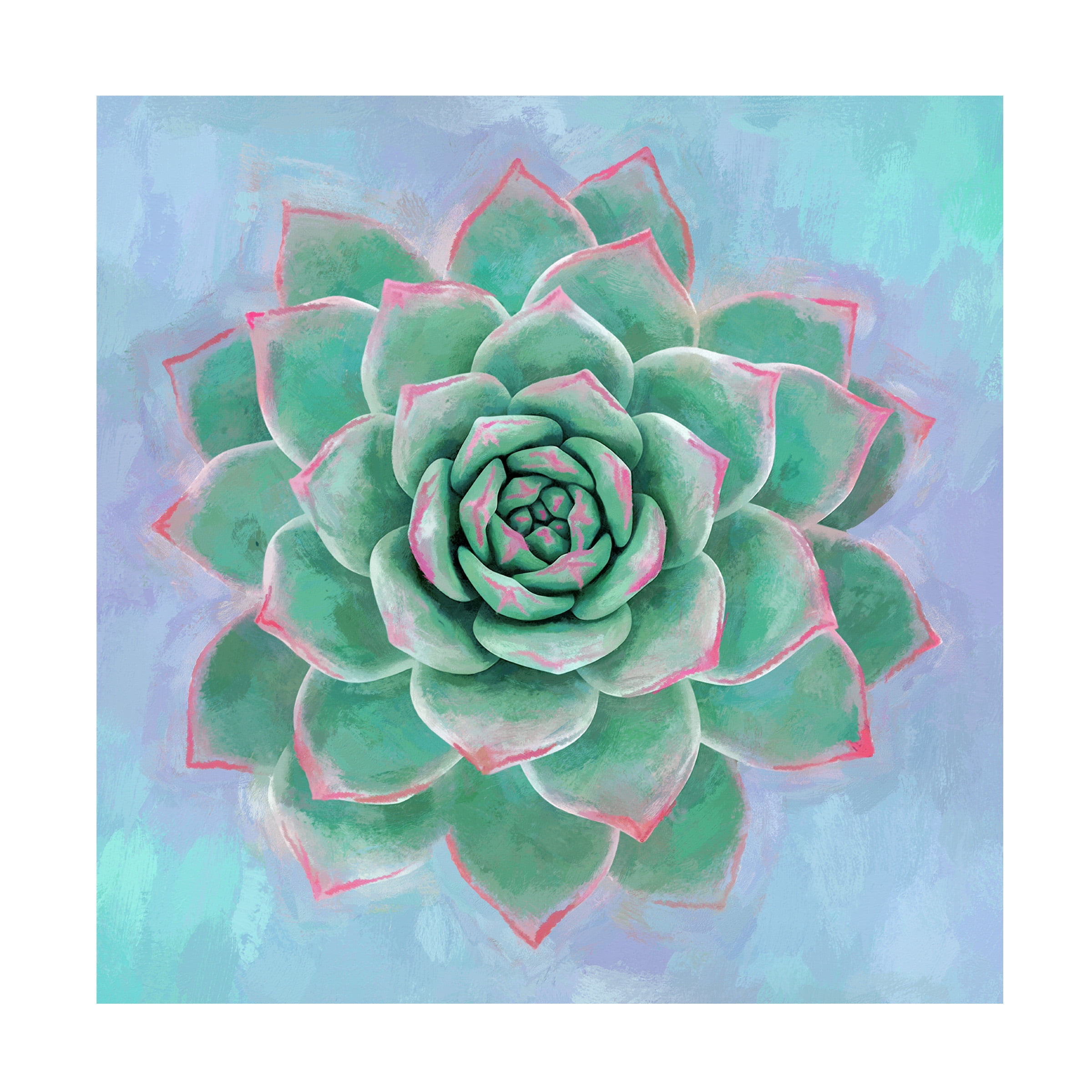 Cora Niele 'Succulent Painting' Canvas Art