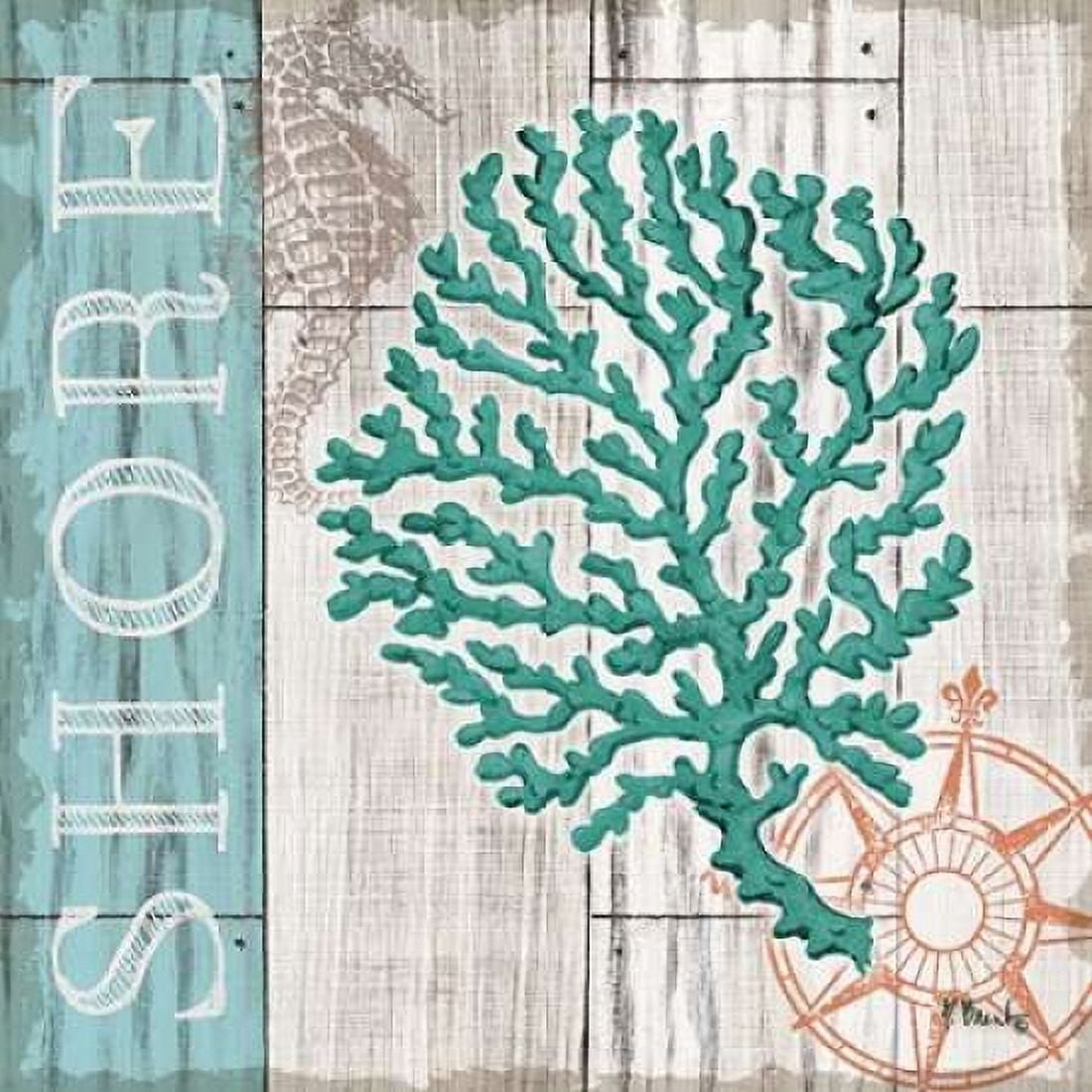 Coral Azul III Canvas Art - Paul Brent (24 x 24)