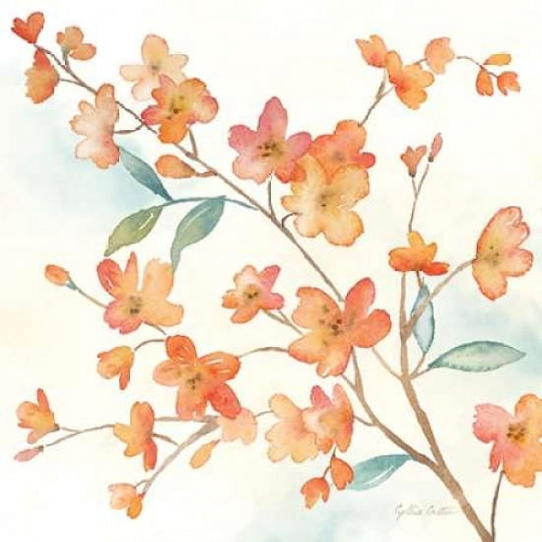 Coral Blossom Branches II Canvas Art - Cynthia Coulter (24 x 24)